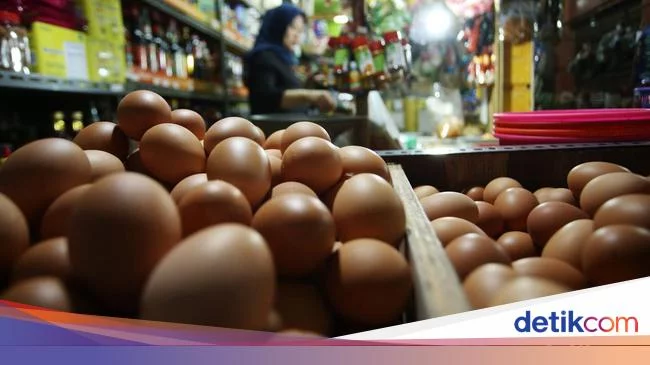 Bikin Pening Bunda...Harga Ayam dan Telur Naik Terus Ogah Turun