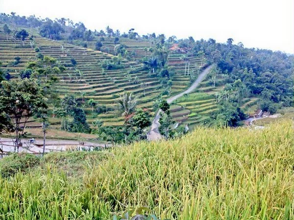 Sekelis Sejarah Dan Peristiwa Kecematan Cibugel Sumedang