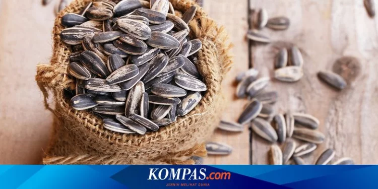 10 Manfaat Biji Bunga Matahari untuk Kesehatan Halaman all