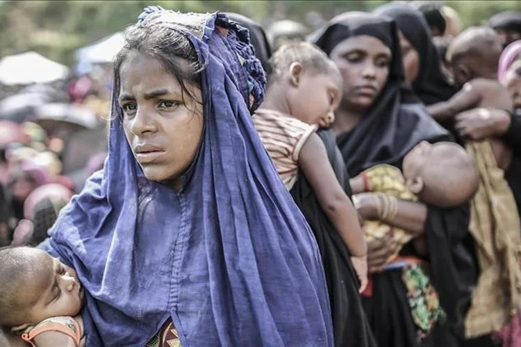 Amnesti Internasional Desak  Indonesia Selamatkan Ratusan Pengungsi Rohingya di Perairan Utara Aceh