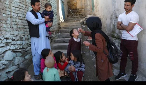 Taliban Perintahkan Pecat Staf Perempuan, 3 LSM Internasional Pilih Hentikan Operasi Kemanusiaan