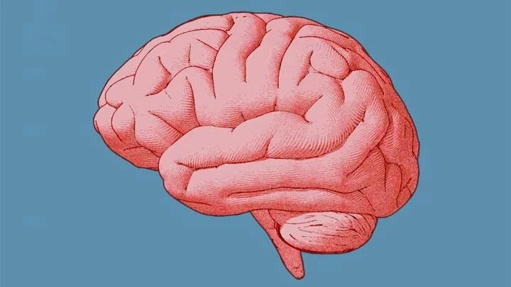 Ilmuwan Identifikasi Protein di Otak untuk Obat Skizofrenia