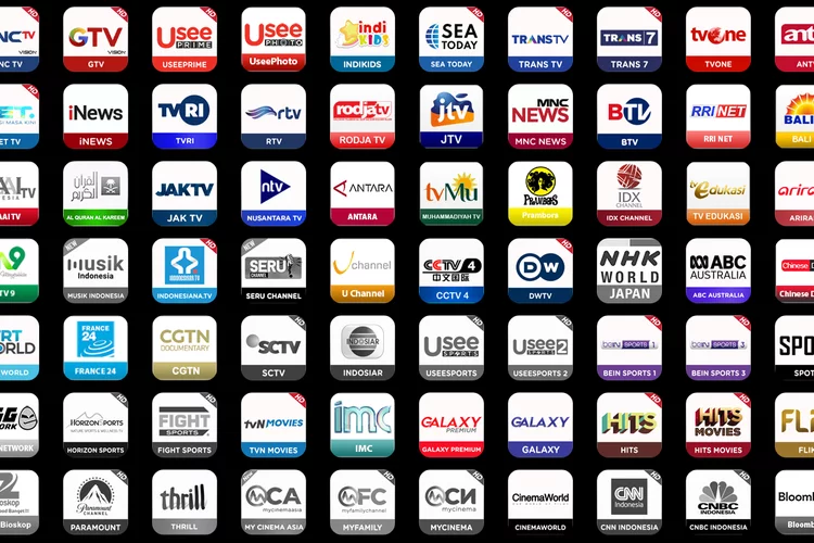 Tanpa STB Bisa Nonton Siaran Digital Ratusan Channel Stasiun TV Lokal Internasional Ada, Gratis dan Mudah!