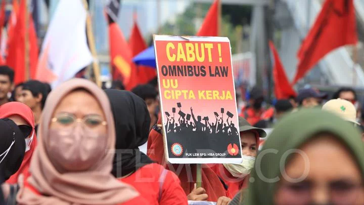 Perpu Cipta Kerja Terabas Keputusan MK, Anggota DPD Sebut Jokowi Bisa Dimakzulkan