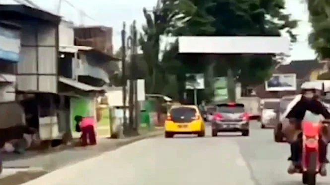 Viral 2 Mobil LCGC Adu Kuat di Jalan Raya