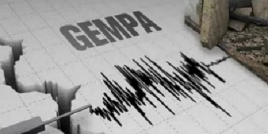 Gempa Magnitudo 7,9 Guncang Maluku, BMKG Keluarkan Peringatan Dini Tsunami