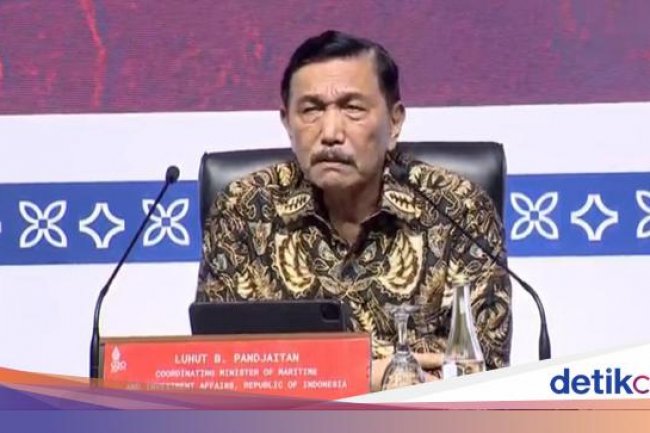 Ternyata Ini Arti Banana Republic yang Disebut Luhut di Australia