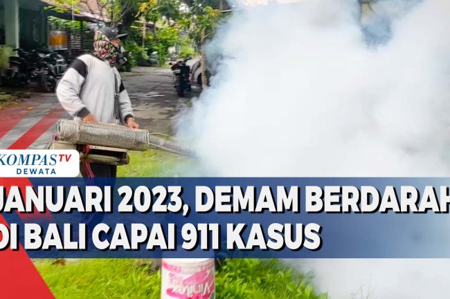 Januari 2023, Demam Berdarah Di Bali Capai 911 Kasus