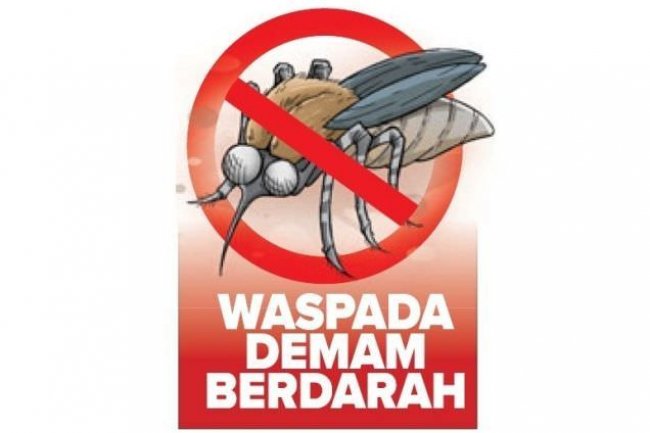 Sehari, Rata-Rata Satu Terserang Demam Berdarah