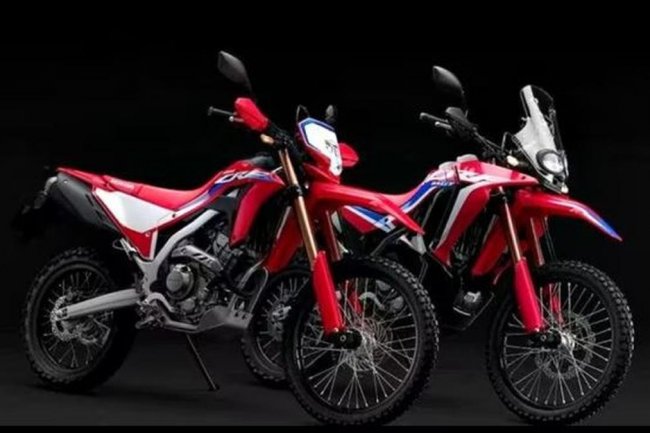 Kupas Tuntas Perbedaan Honda CRF250L dengan CRF250 Rally