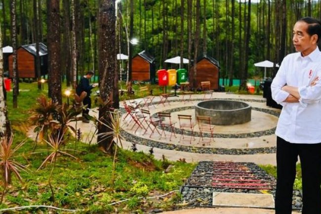 Ada yang Ragu IKN Bakal Jadi, Jokowi Cuma Bilang Begini..