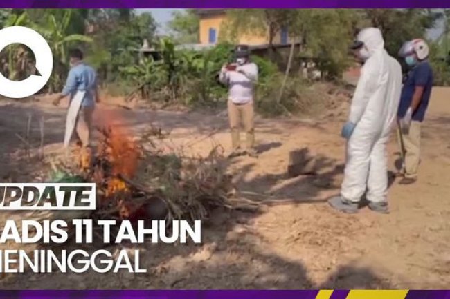 Ketakutan Warga Kamboja Usai Muncul Kasus Flu Burung H5N1