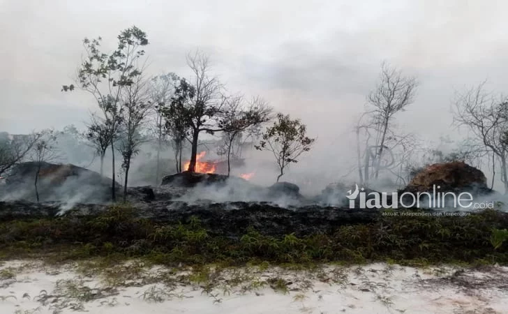 Kapolda Riau Bungkam Soal Dua Peristiwa Karhutla