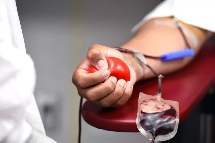 Donor Darah Berapa Bulan Sekali? Ini Jawaban dan Mitos yang Menyertainya!