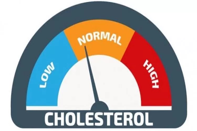 Mengobati Kolesterol Dengan Mudah Tanpa Harus Pengobatan Medis