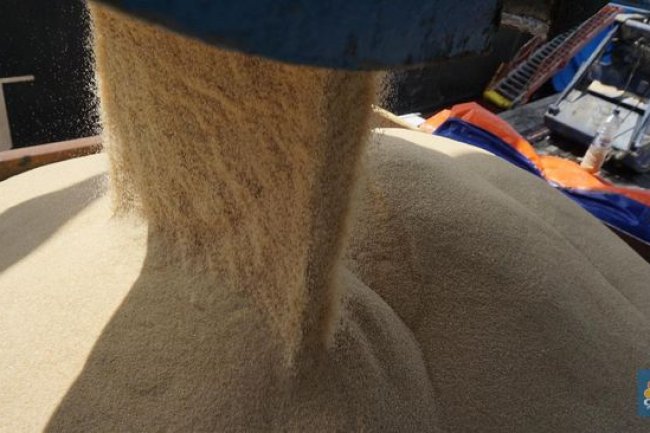 Jreng! Harga Gula Diam-diam Rekor, Waspada Kisruh Impor