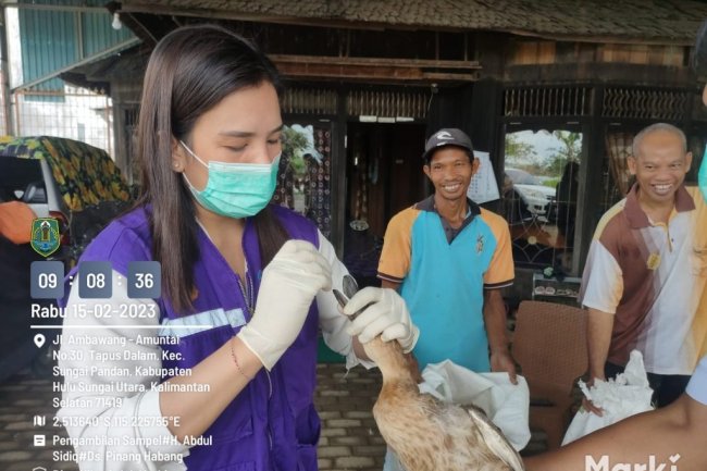 Kalsel Mulai Waspada Wabah Flu Burung