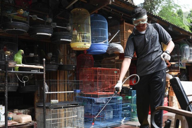 Antisipasi KLB Flu Burung, Pemprov DKI Bakal Bina Pemilik Unggas dan Perketat Pengawasan
