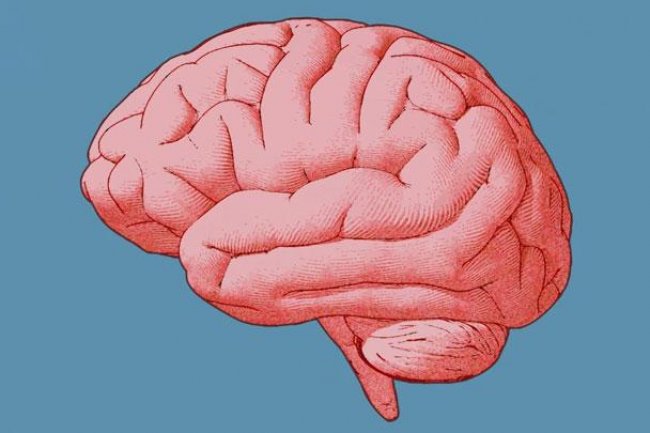 Catat, Ini 5 Penyakit Otak yang Mematikan