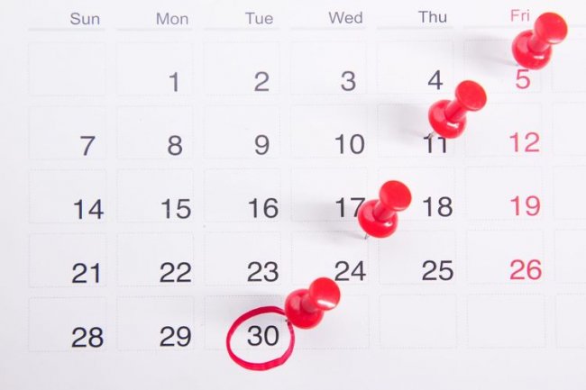 Daftar Hari Besar Nasional dan Internasional Bulan Maret 2023, Ada Berapa Saja Tanggal Merah di  Bulan Ini?