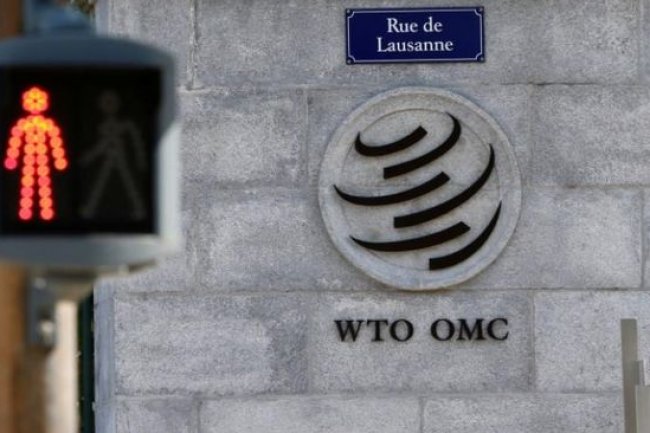 Di Luar Dugaan, Begini Alasan WTO Kalahkan RI dari Uni Eropa
