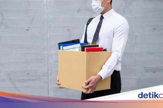 Badai PHK di Mana-mana, Hanya Sektor Ini yang Diprediksi Aman