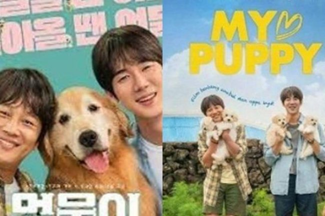 Sinopsis Film Korea My Puppy Dibintangi Yoo Yeon Seok dan Cha Tae Hyun, Cek Jadwal Tayang di Bioskop