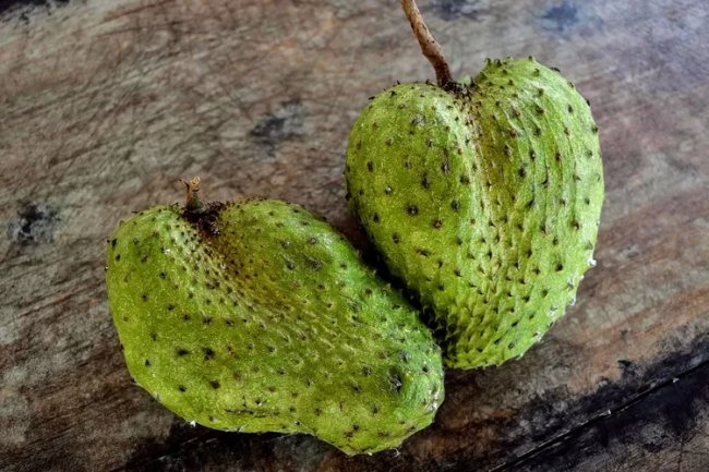 7 Khasiat Buah Sirsak Untuk Menjaga Kesehatan Tulang, Dan Mengurangi Risiko Kanker