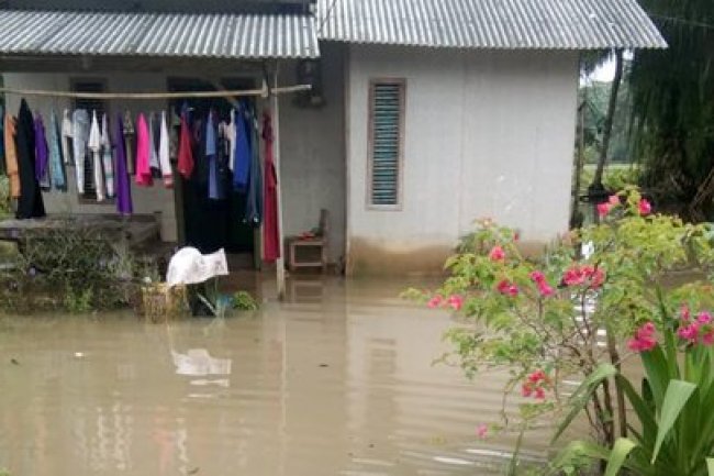 Banjir Bandang hingga Longsor Landa Lampung Barat, Jembatan dan 17 Rumah Rusak