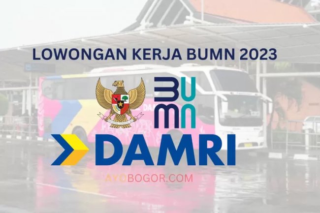 Lowongan Kerja BUMN 2023: Perum DAMRI Cari Staf Audit Teknologi Informasi, Ini Kualifikasi dan Cara Daftarnya