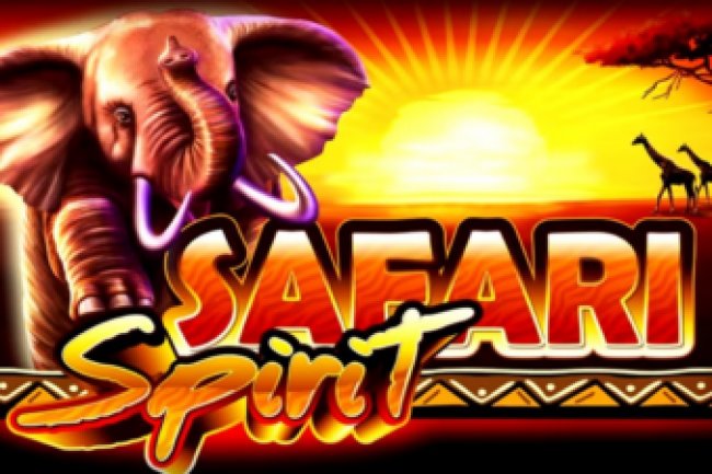 Perhatikan Hal-hal Ini Sebelum Memulai Memainkan Slot Pragmatic Play Safari Spirit