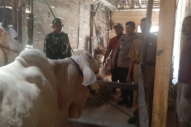 Petugas Gabungan TNI-Polri di Blora Lakukan Vaksinasi PMK di Kecamatan Bogorejo