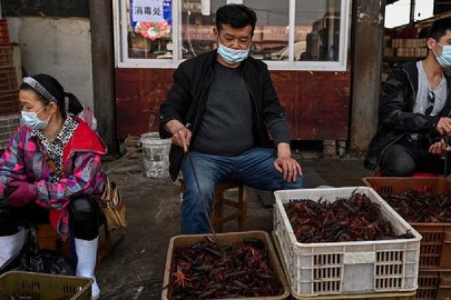 Tiga Tahun Perdebatan Asal-Usul Covid Akhirnya Temukan Jawaban Meyakinkan