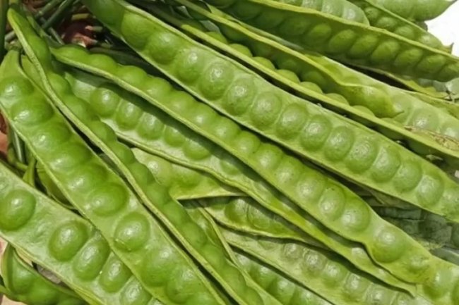 Tips Hilangkan Bau Petai dan Atasi Kekhawatiran di Bulan Ramadhan