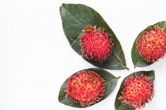 BERITA POPULER: Daun Rambutan Punya Khasiat Jadi Obat Kuat hingga Pakai Daun Salam untuk Kembali Hitamkan Rambut