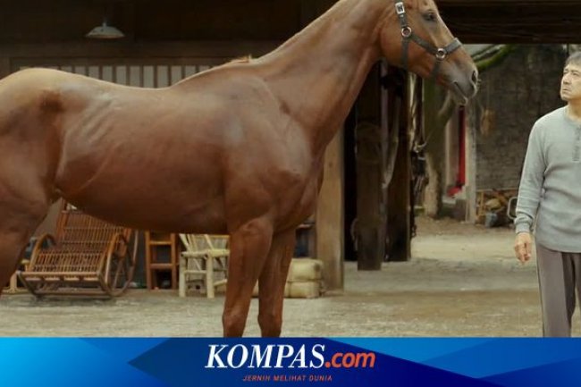 Sinopsis Ride On, Pensiunan Stuntman dan Kuda Kesayangannya