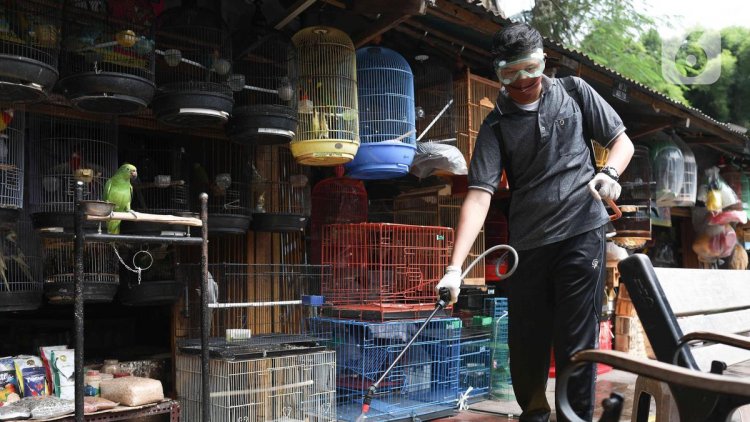 Antisipasi KLB Flu Burung, Pemprov DKI Bakal Bina Pemilik Unggas dan Perketat Pengawasan