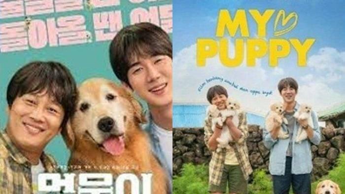 Sinopsis Film Korea My Puppy Dibintangi Yoo Yeon Seok dan Cha Tae Hyun, Cek Jadwal Tayang di Bioskop