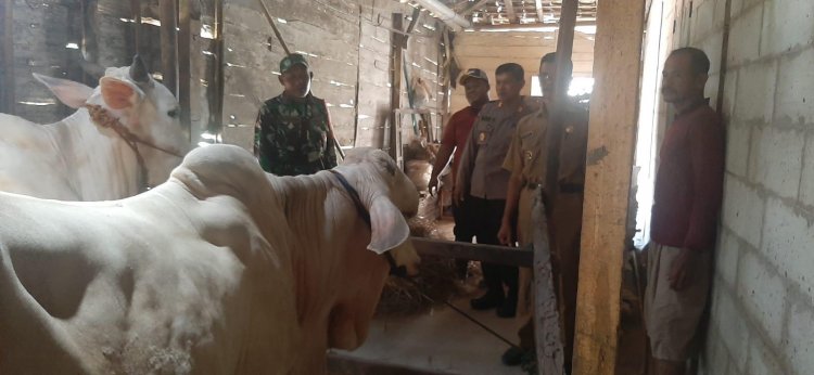 Petugas Gabungan TNI-Polri di Blora Lakukan Vaksinasi PMK di Kecamatan Bogorejo