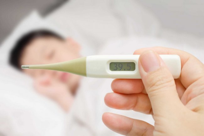 Kasus DBD Kota Probolinggo Capai 69 Selama Tiga Bulan, Penderita Didominasi Anak Usia 5-14 Tahun