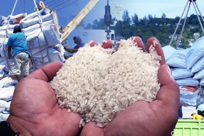 Ribut-Ribut Soal Impor, Berapa Produksi Beras RI 5 Tahun?
