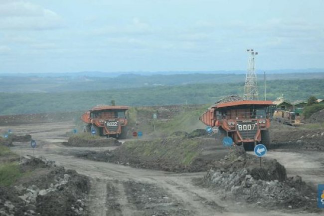 Gak Kira-kira, Harga Batu Bara Terbang 5,31% Pekan Ini