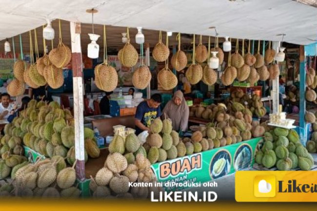 Catat Tanggalnya, Festival Durian Internasional Bakal Digelar di Parigi Moutong