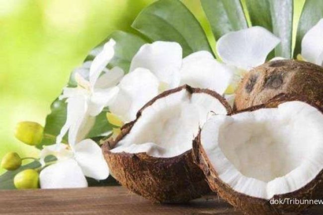 Mengelola Gula Darah, 6 Manfaat Kelapa yang Telah Dibuktikan Dalam Penelitian