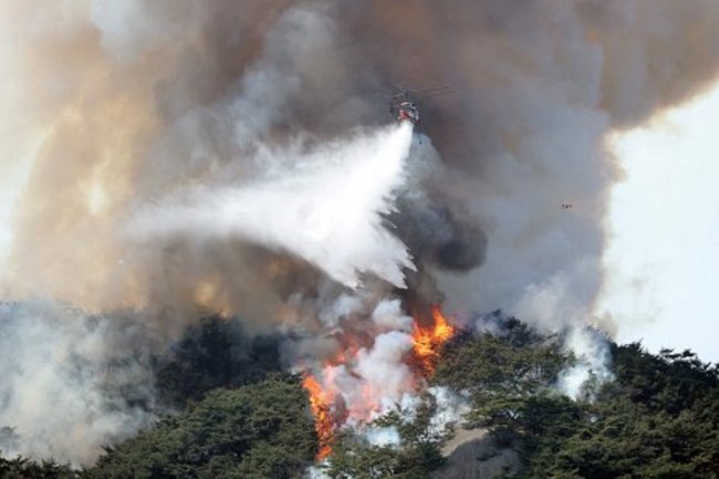 Populer Internasional: Kebakaran Hutan Korsel hingga PBB Peringatkan Taliban