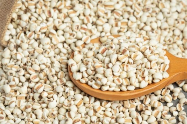 3 Manfaat Mengonsumsi Sorgum, Salah Satunya sebagai Obat Kanker