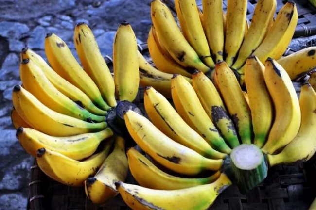 Simak! Ternyata Ini Alasan Buah Pisang Bagus untuk Penderita Diabetes