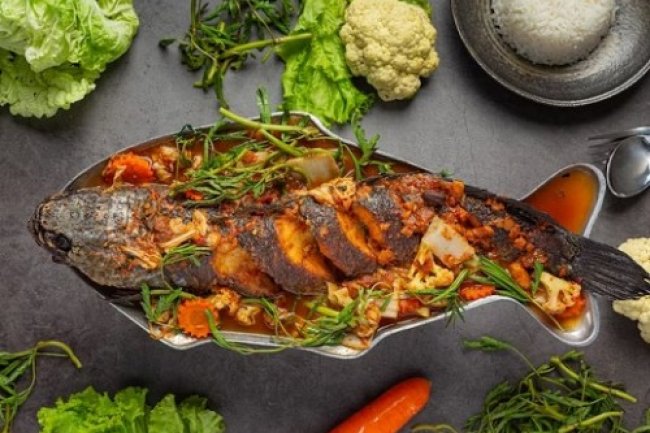 Lima Manfaat Ikan Lele untuk Kesehatan, Menjaga Kesehatan Otak hingga Mencegah Anemia