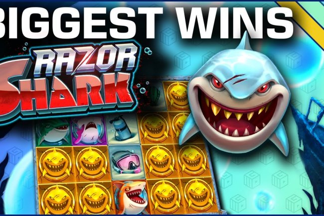 <strong>Pragmatic Play Update Game Baru Tiki Tumble Dan Razor Shark</strong>