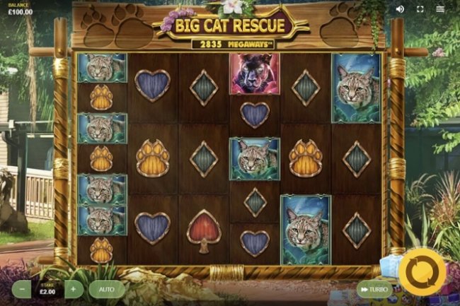 Game Slot Pragmatic Play Big Cat Rescue Megaways banyak bocoran di gamenya